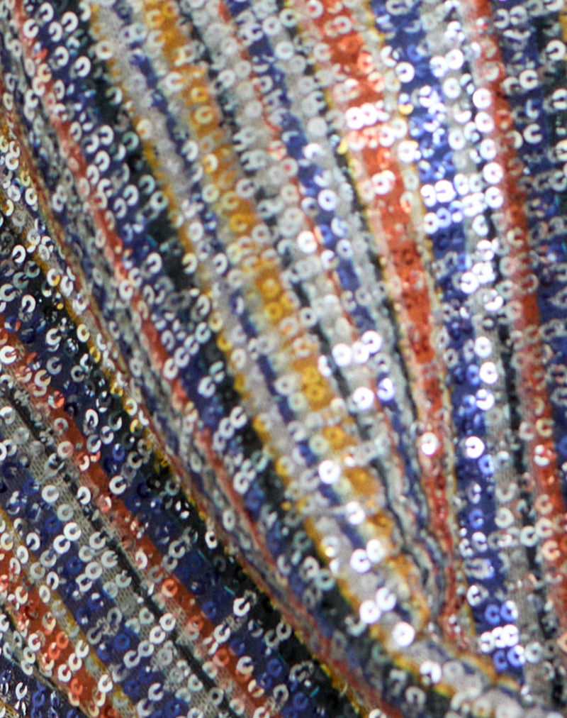 Kusini Plunge Top in Sequin Multi Stripe